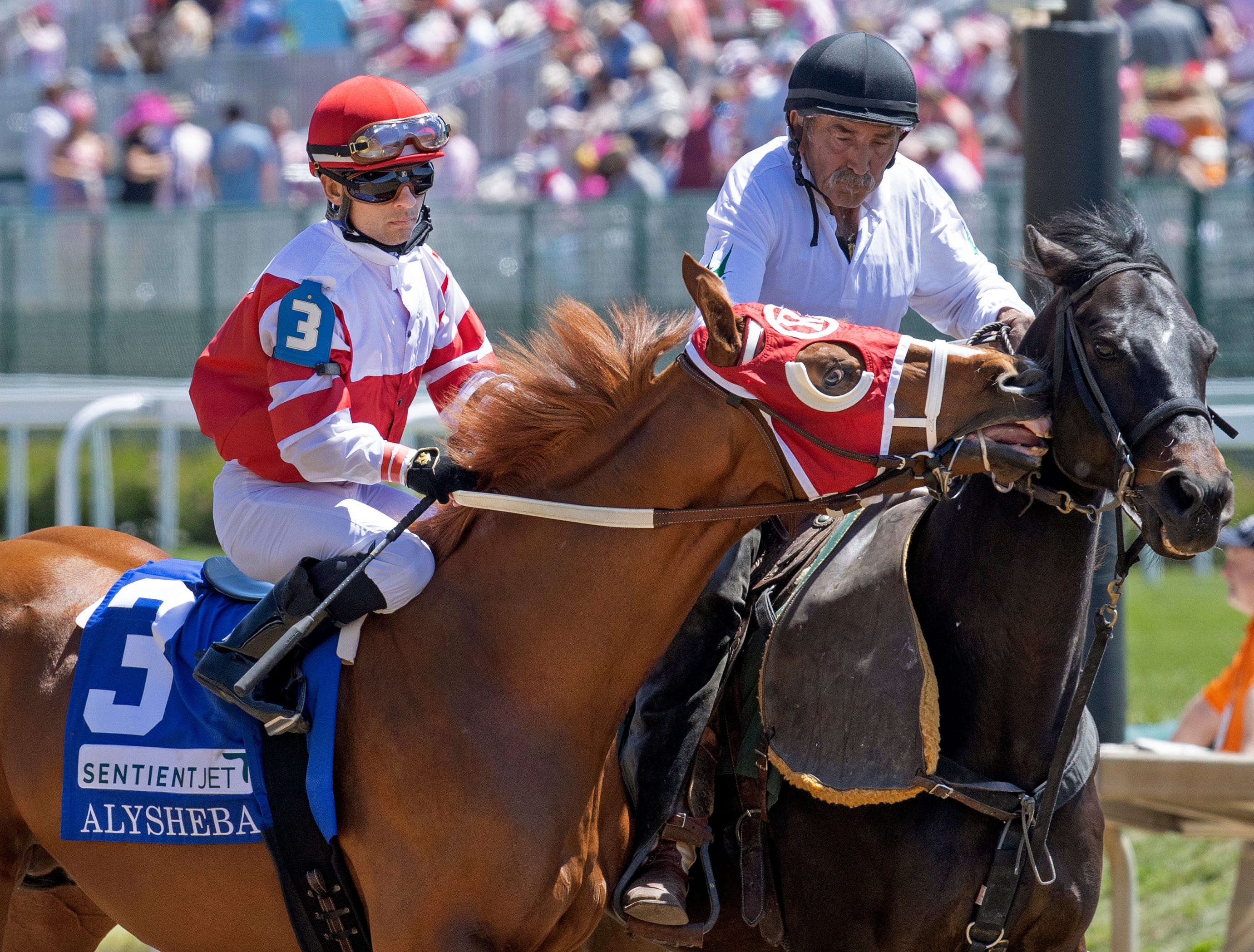 Rich Strike withdrawn from sale, to stay in light training